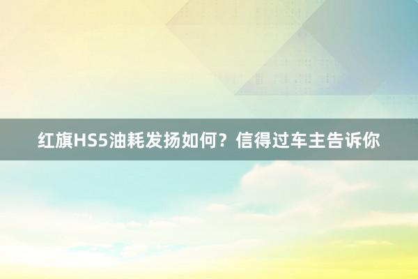 红旗HS5油耗发扬如何？信得过车主告诉你